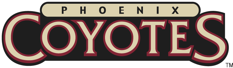 Phoenix Coyotes 2003-2008 Wordmark Logo t shirts DIY iron ons